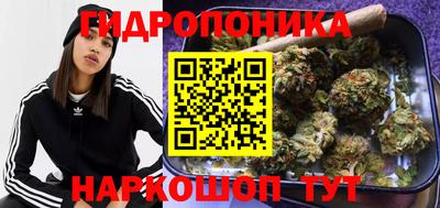 a pvp Абакан