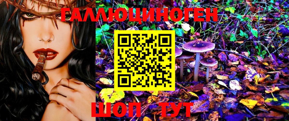 Абинск  Галлюциногенные грибы MAGIC MUSHROOMS  Вход с VPN  Галлюциногенные грибы MAGIC MUSHROOMS 